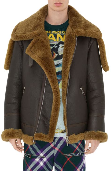 Shearling Aviator Jacket in Otter 